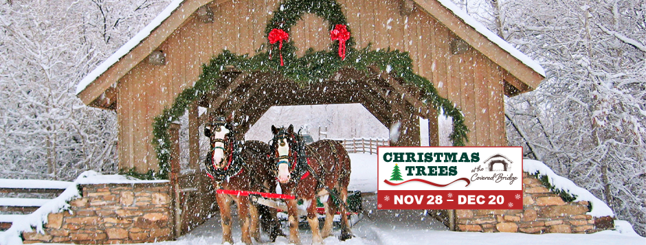 Christmas Trees Slide 2025